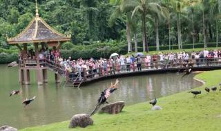 云南西双版纳旅游 云南西双版纳旅游